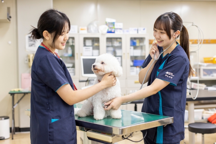 動物看護実習室_01